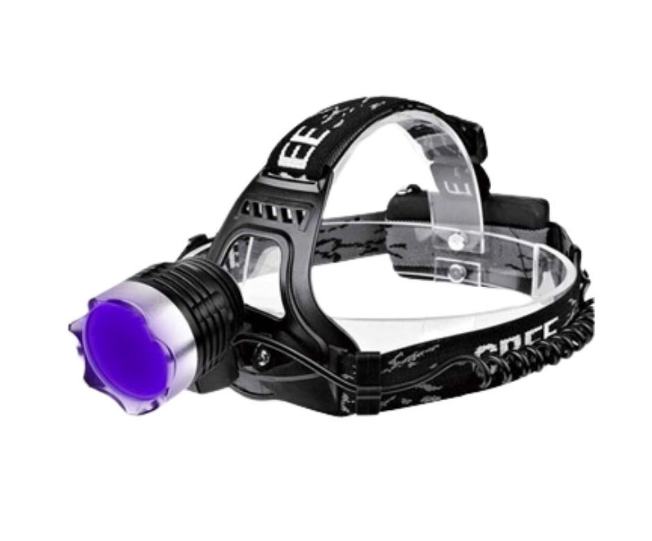 Led Lenser Zweibr&uuml;der V12 Chip Power Torcia Elettrica Blu