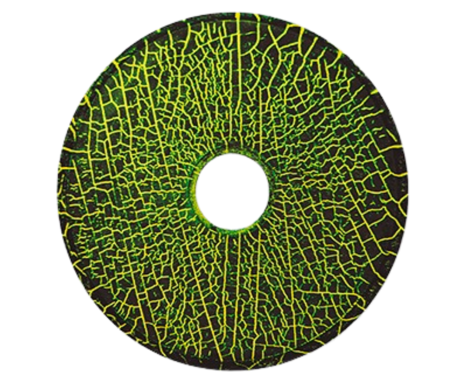 PARTICULAS MAGNETICAS
